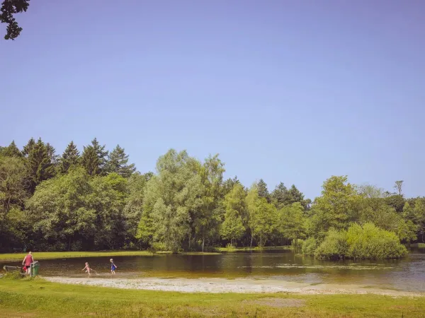 The lake at Roan camping ' t Veld.