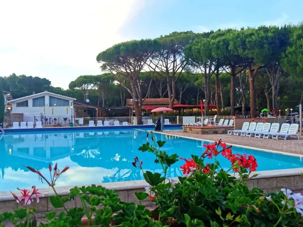 Swimming pool with sunbeds at Roan camping Del Forte.